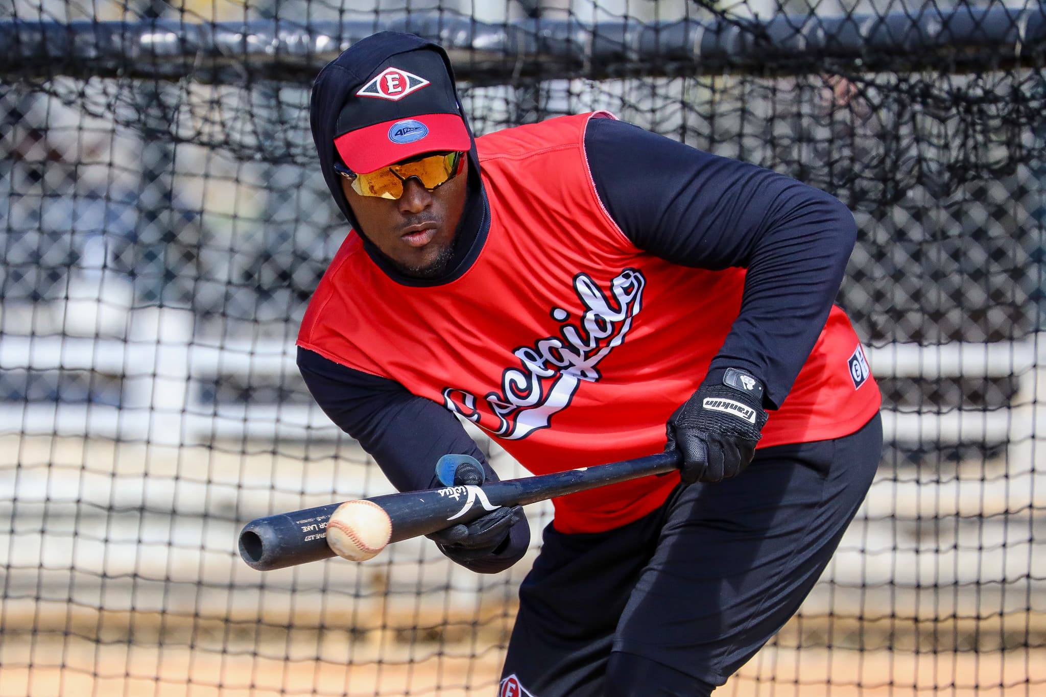 LIDOM: Junior Lake Propels Leones del Escogido, Makes History