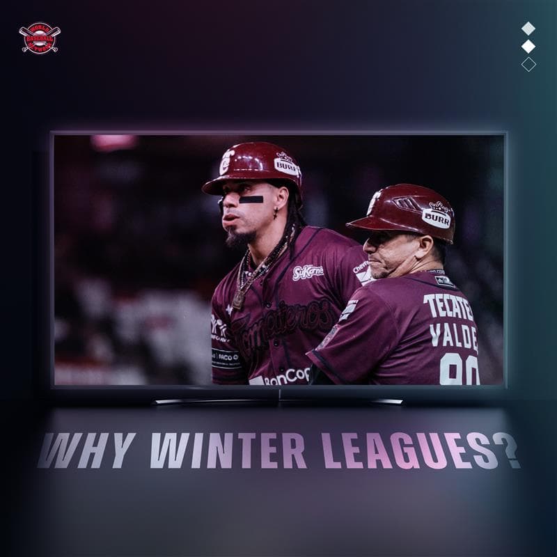 Why Baseball Fans Around the World Should Watch Winter Leagues 