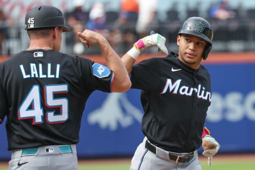 Sanoja, Conine homer to help the Marlins beat the Mets 6-2