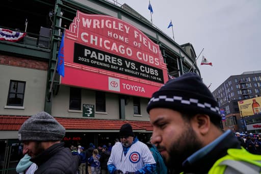 Cubs praised by PETA for how they responded to a goose nest at Wrigley Field