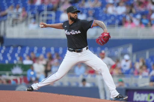 Two hits and 2 RBIs each from Stowers and Conine lead Marlins past Nationals 7-6