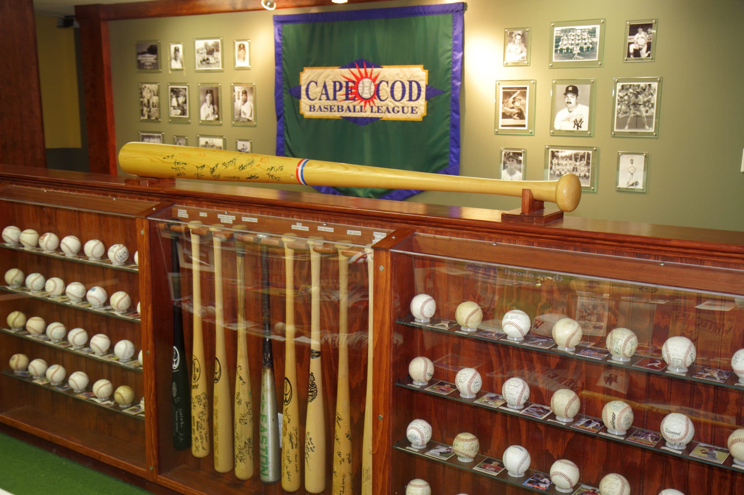 International Spotlight at the Cape Cod League