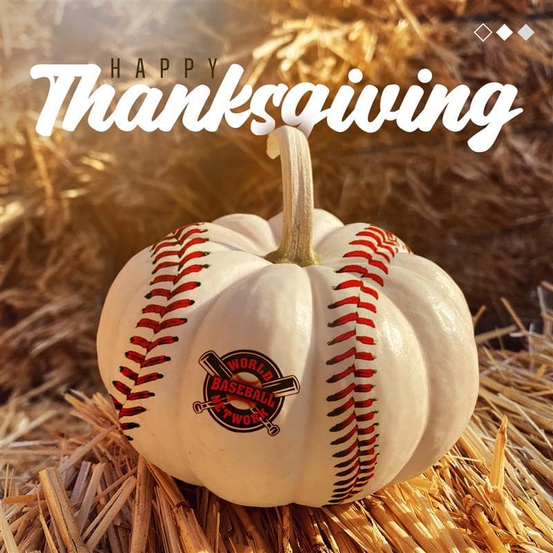 World Baseball Network Shares What They Are Thankful For