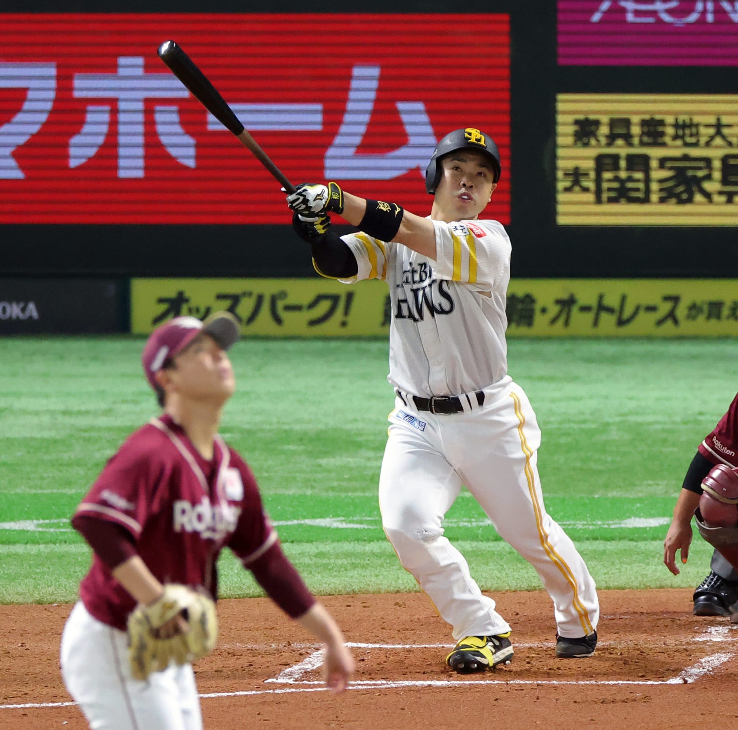 NPB Japan Series: Schedule and Where to Watch 