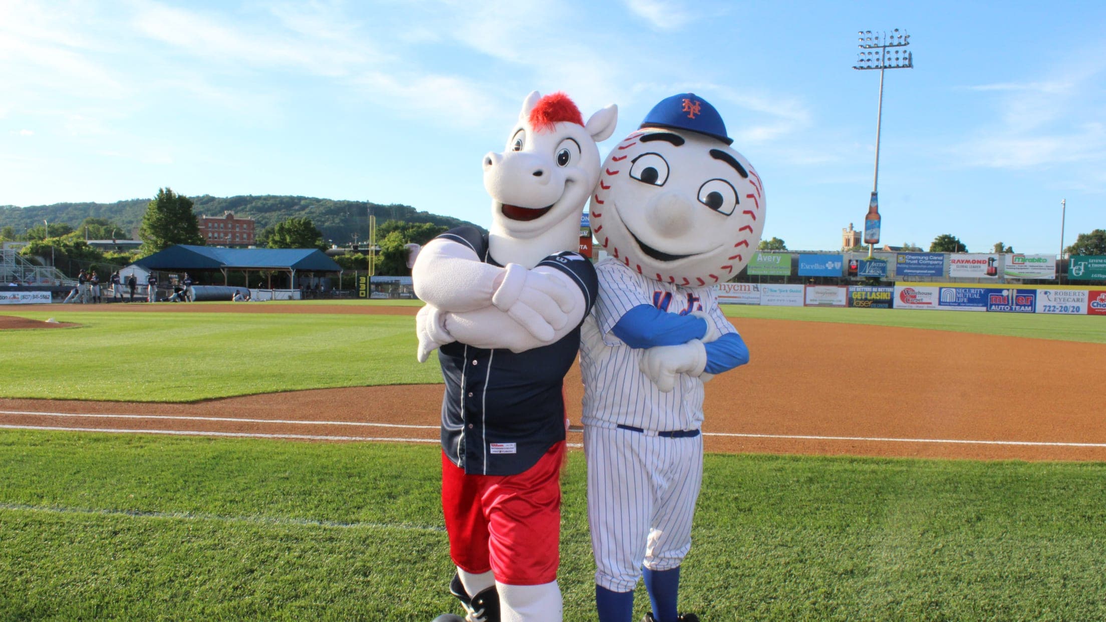 New York Mets Double-A Affiliate Gets New Nickname