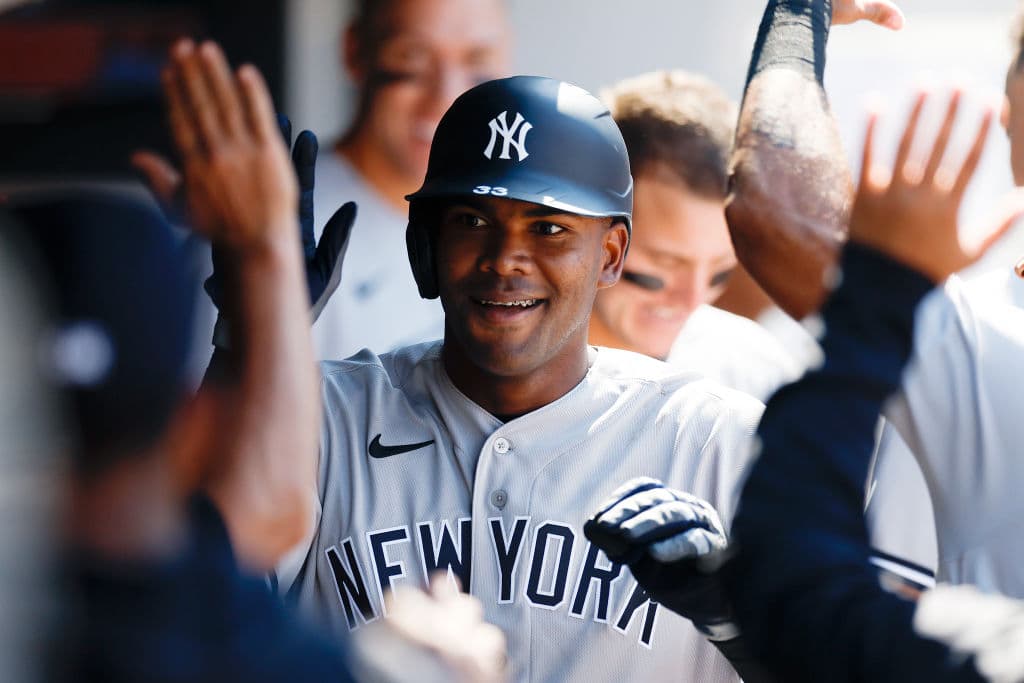 NPB Hot Stove: Former Yankees Sign Contracts to Play in Japan 