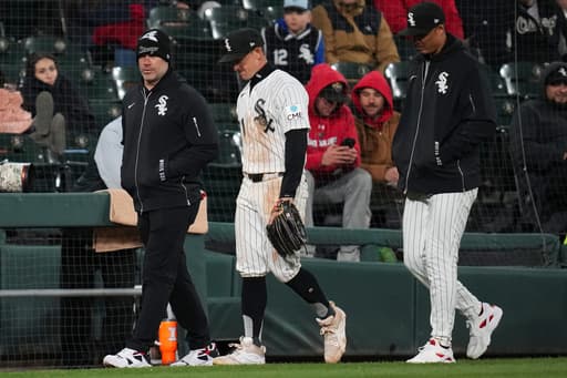 White Sox place outfielder Austin Hays on the 10-day injured list with a hamstring strain