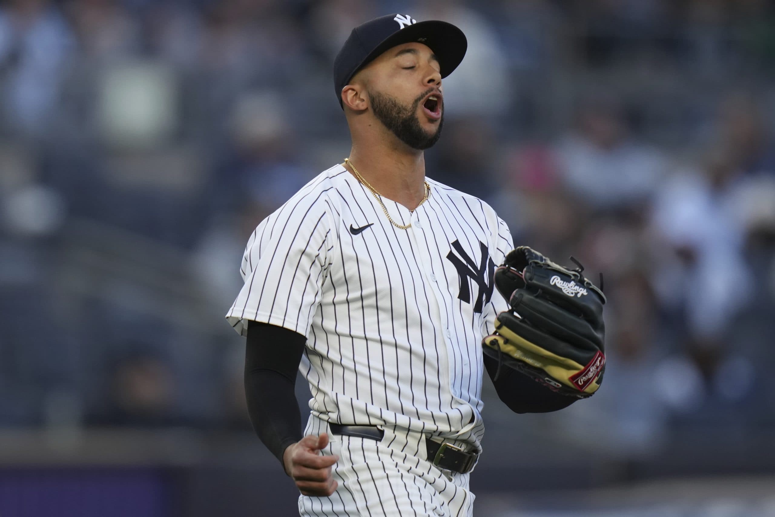 Team USA Can Evaluate 2023 WBC Roster to Form Next Year’s Club