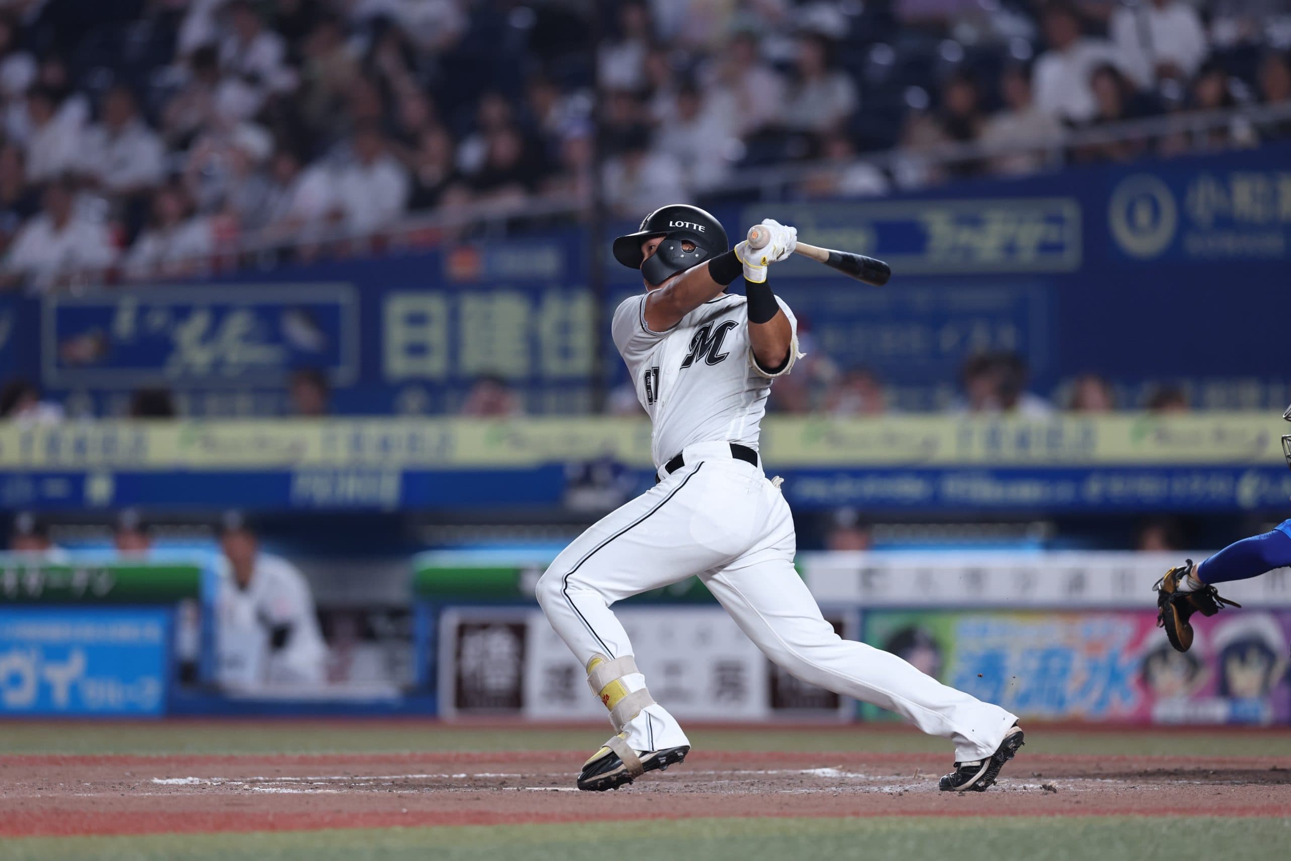 Five Players from Asia to Watch in  the Australian Baseball League
