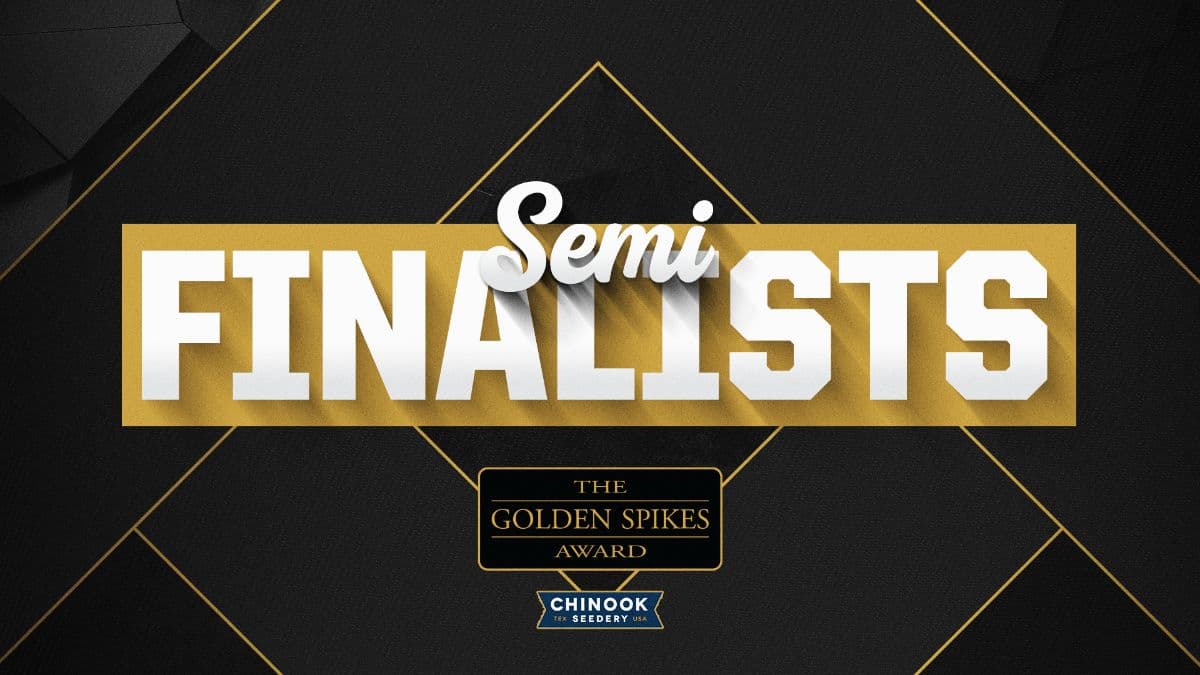 USA Baseball Announces Golden Spike Award Semifinalists