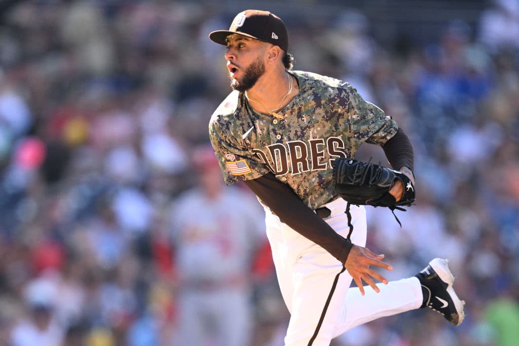 Jose Espada Signs One-Year Deal With Tokyo Yakult Swallows