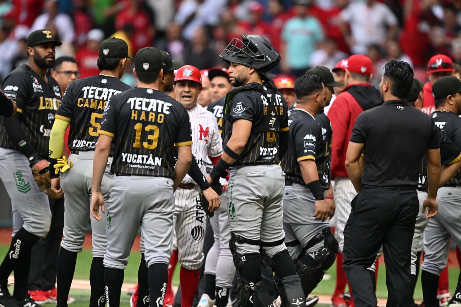 LMB Suspends Two Pitchers From Leones De Yucatan For Throwing At Cano
