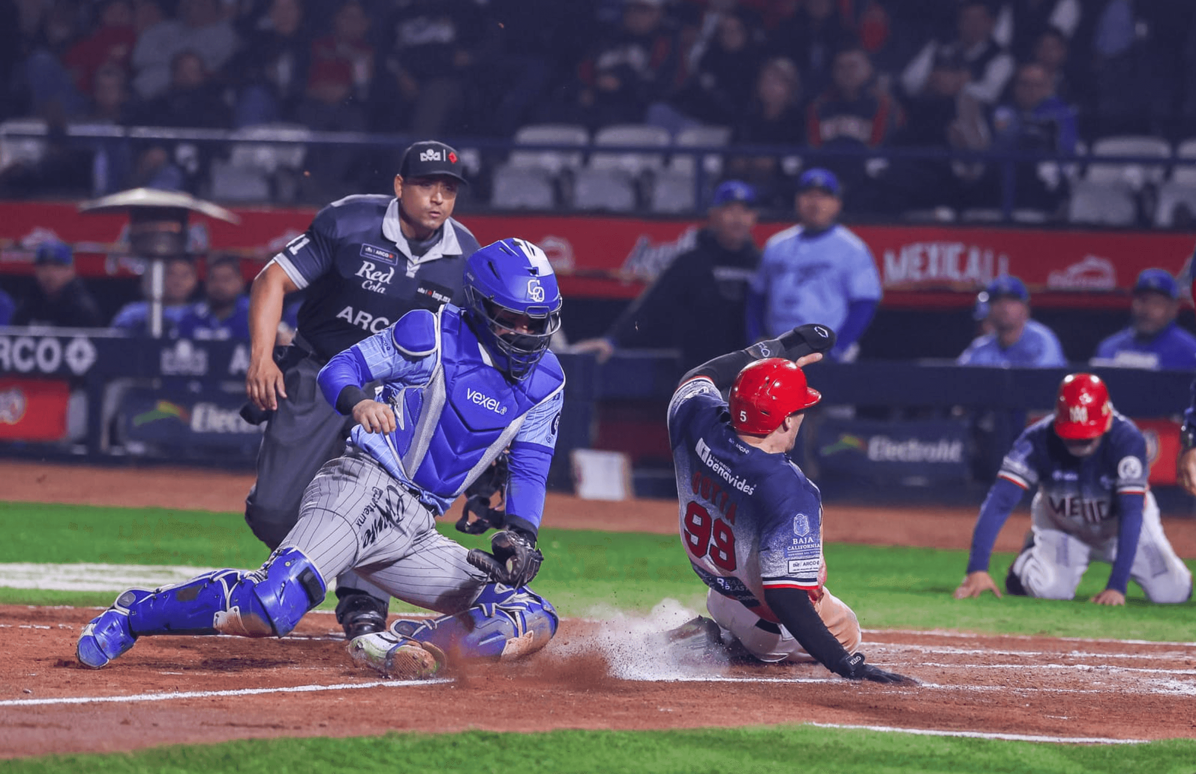 LAMP: Naranjeros, Yaquis, Tomateros In Three-Way Tie Atop Overall Standings