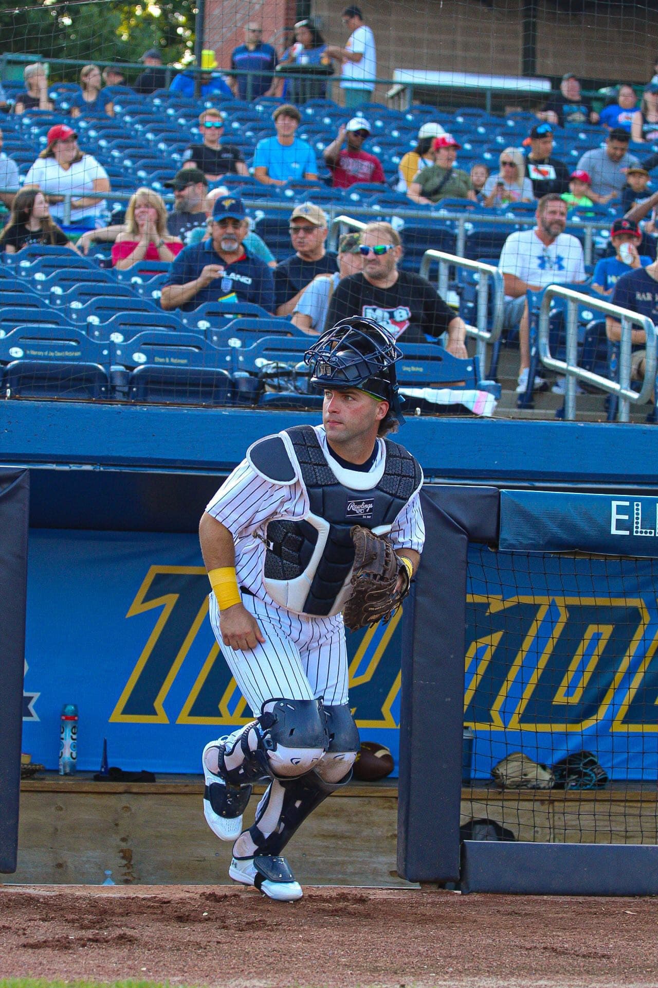 Former MLB Draft League Catcher Chris Reeder Signs with the New Jersey Jackals