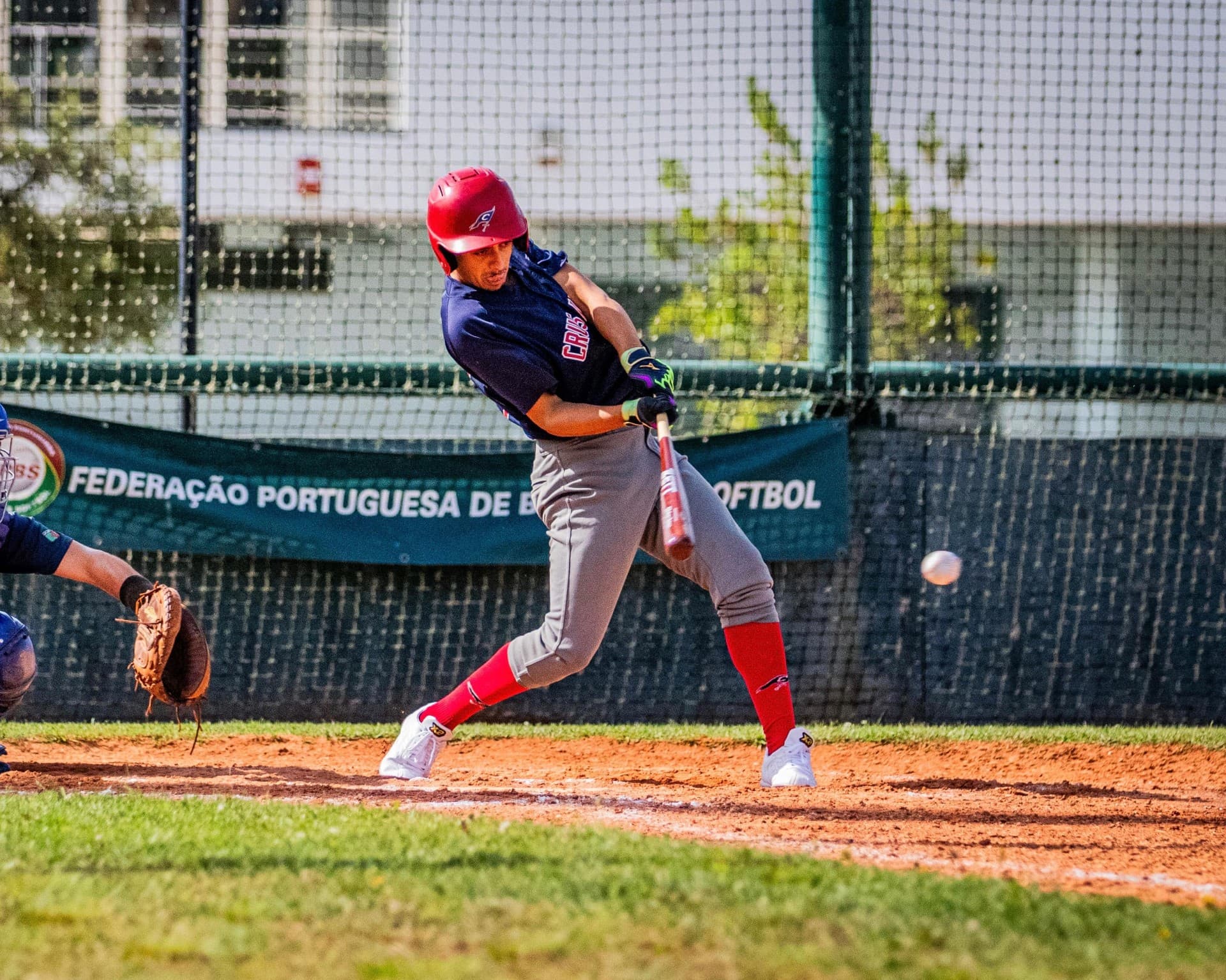 A Deep Dive Into Portuguese Baseball – The Good, Bad and Ugly