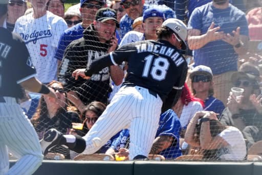 White Sox’s Josh Rojas, Bryan Ramos and Mike Tauchman placed on the 10-day injured list