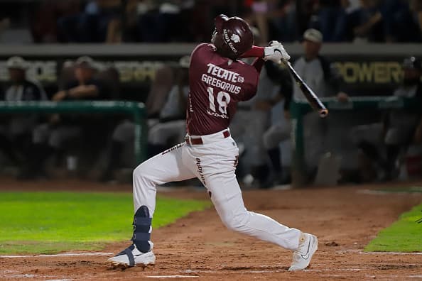 Notable Players Selected in the Curacao Professional Baseball Roster Draft 