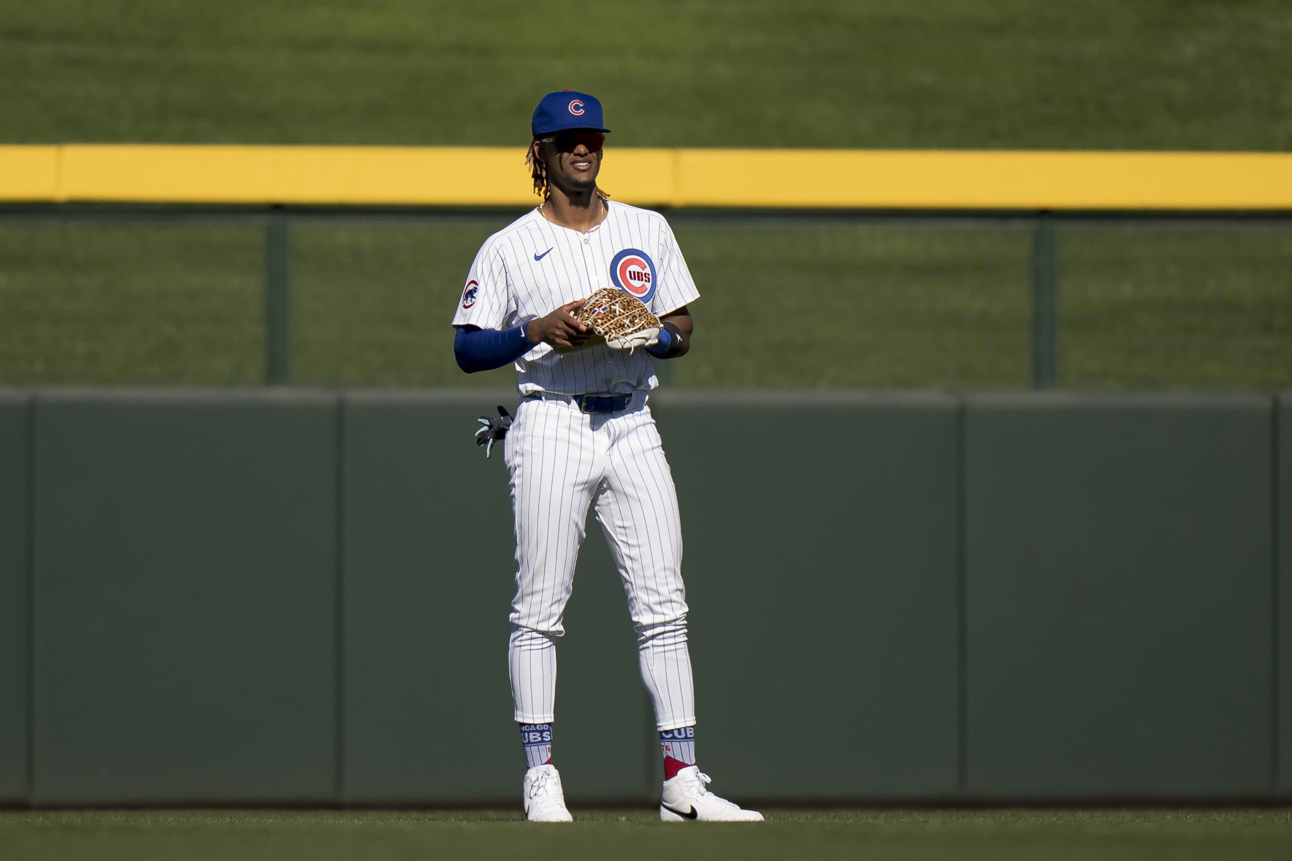 Cubs Select Contract Of Dominican OF Kevin Alcantara