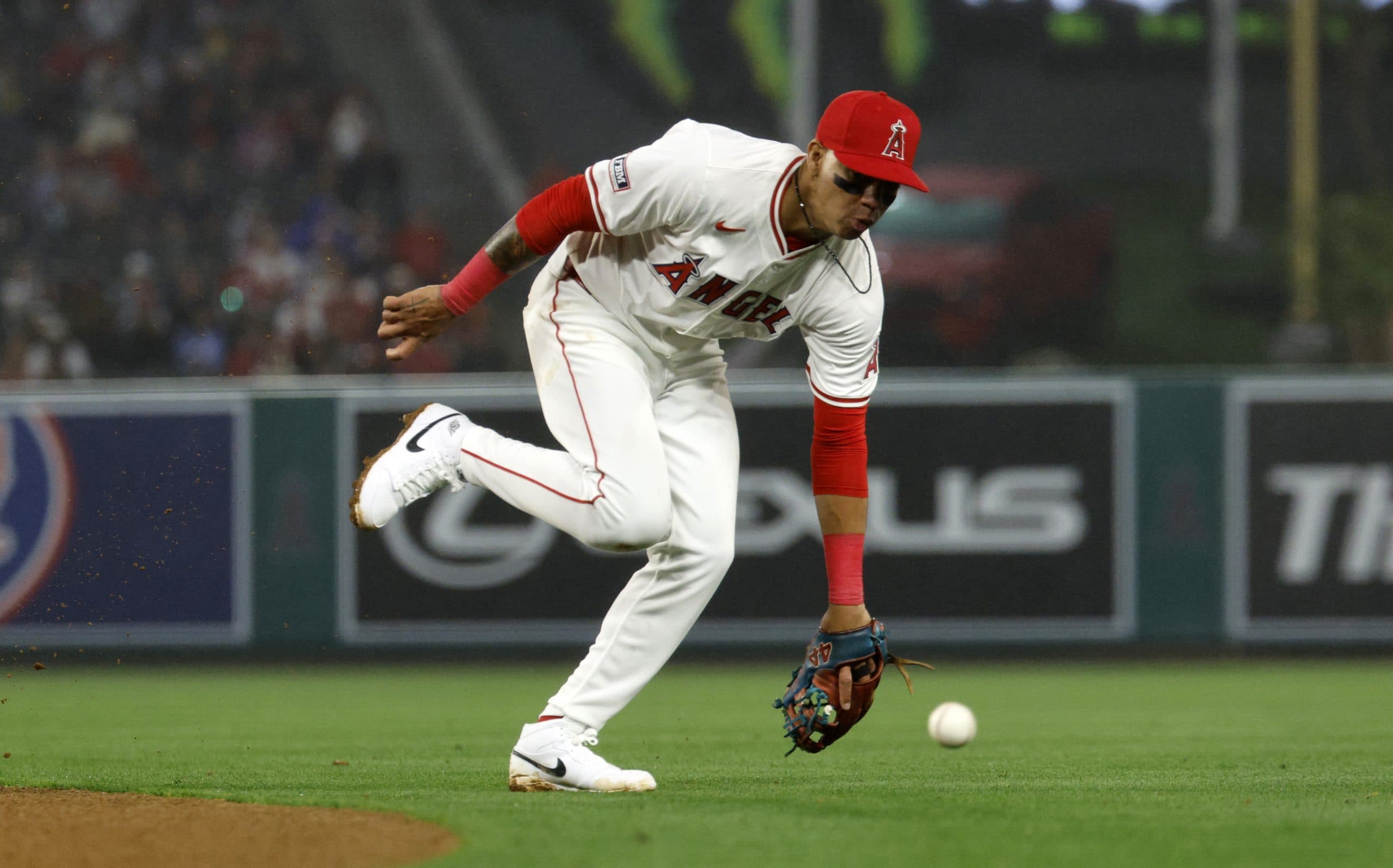 Angels Select Contract of Venezuelan IF Ehire Adrianza