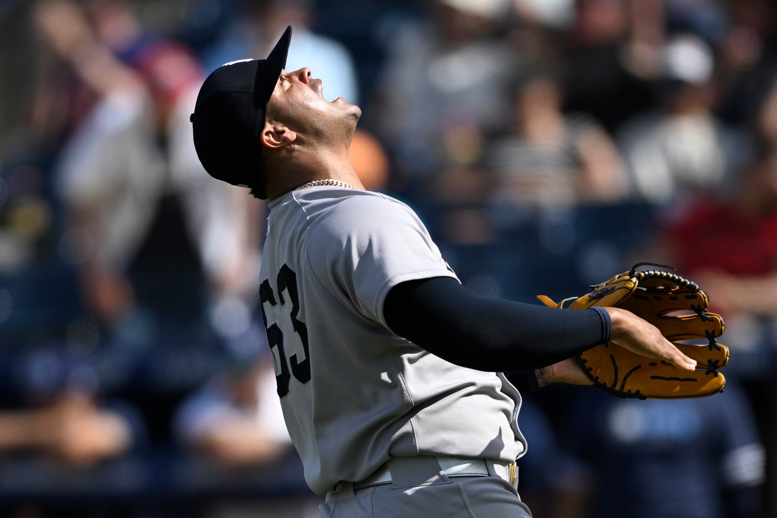 New York Yankees pitcher Fernando Cruz (63) celebrates after getting the save in a baseball game against the Tampa Bay Rays, Sunday, April, 20, 2025, in Tampa, Fla.